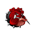 Red Dog Scaffolding