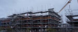 Red Dog Scaffolding